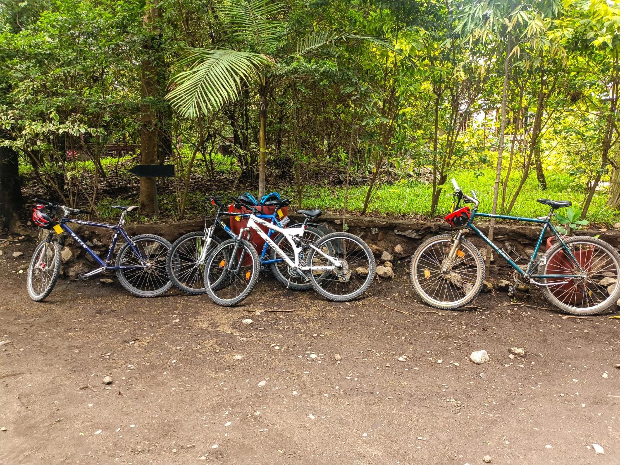 Shamba Hostel Usa River Extérieur photo