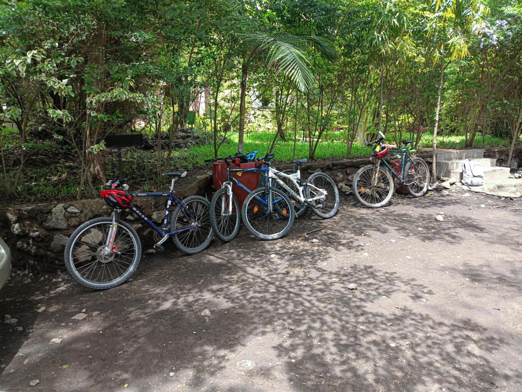 Shamba Hostel Usa River Extérieur photo