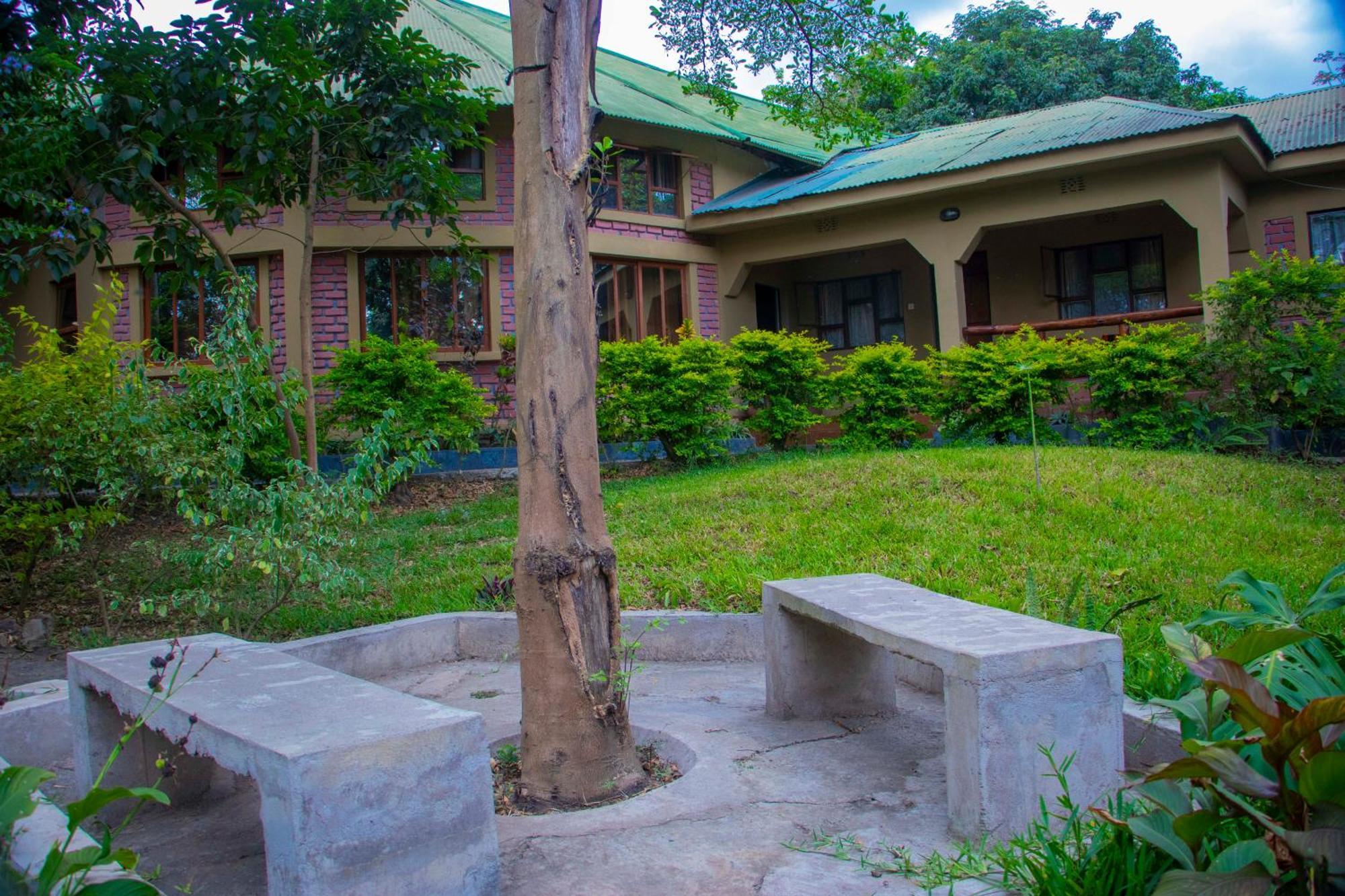Shamba Hostel Usa River Extérieur photo