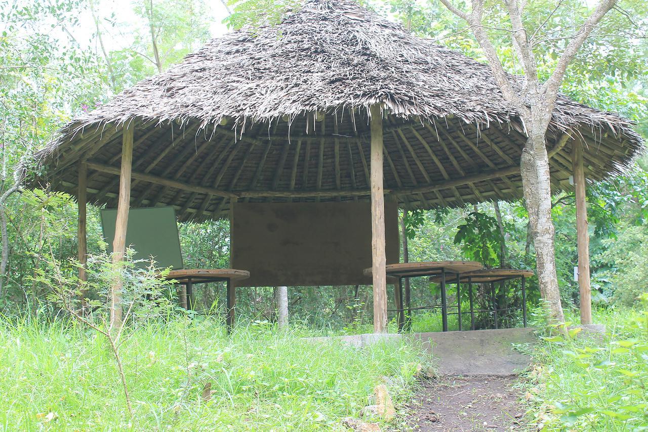 Shamba Hostel Usa River Extérieur photo