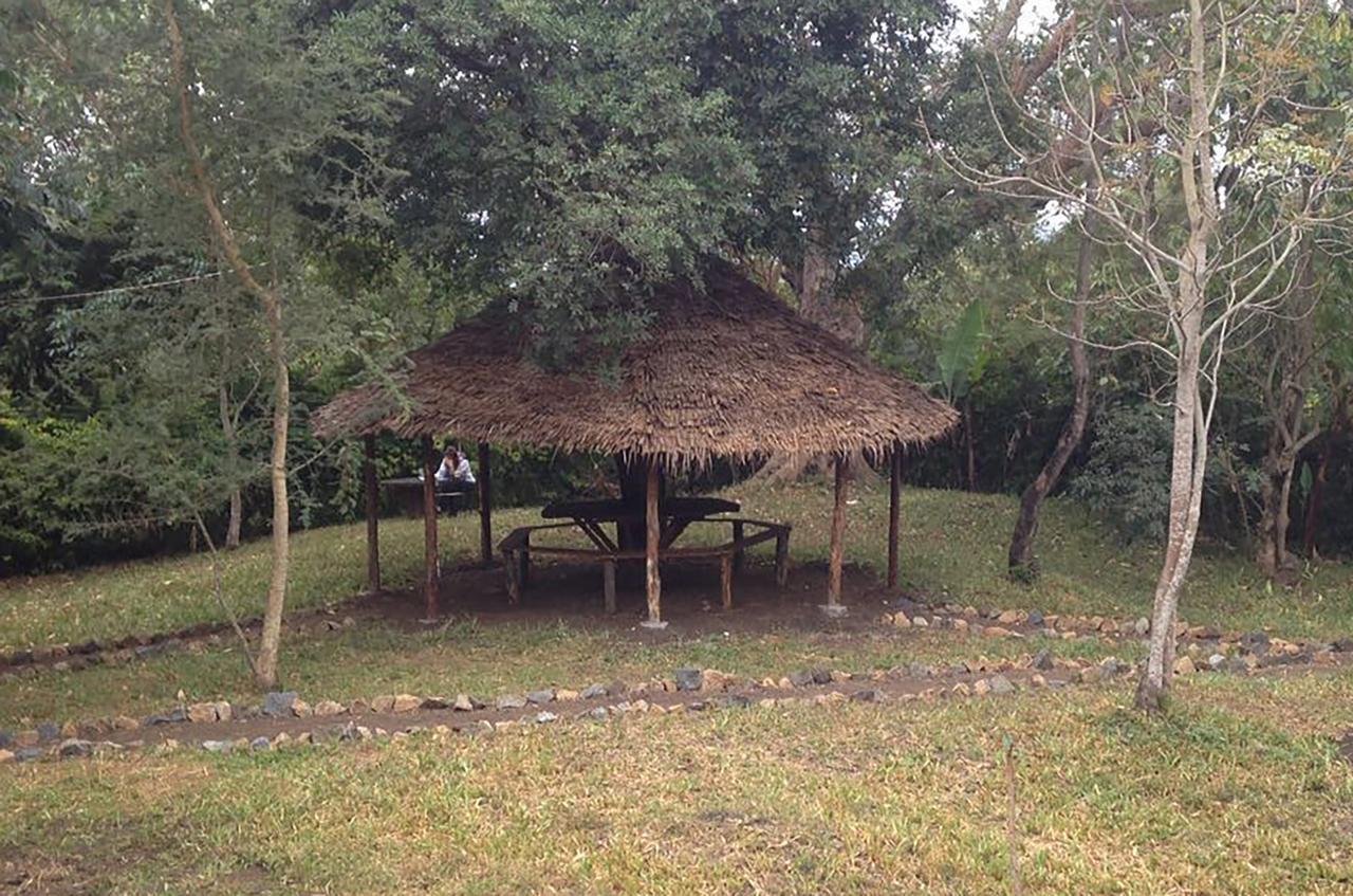 Shamba Hostel Usa River Extérieur photo